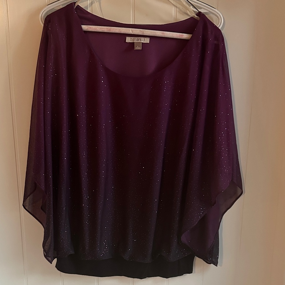 Roz & Ali Sparkling Plum Blouse